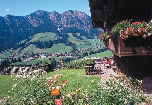 Blick auf Alpbach mit Blume