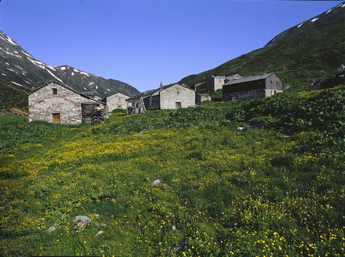 Bergdorp