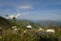 Gstaad Mountain Rides