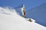 La Clusaz - Massif des Arravis