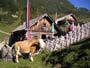 Sommerfrische Alm