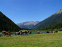 Nationalpark-Region Hohe Tauern Kärnten Mallnitz