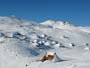 Velika planina