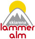 Skigebied Lammeralm Skiarena