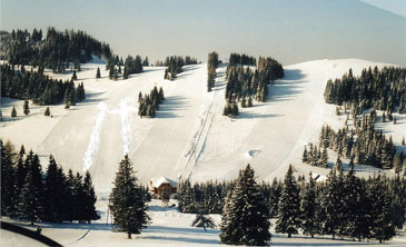 Ski Resort Sommeralm - Pirstingerkogellift