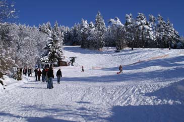 Skigebied Fridingen - Antoni