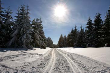 Skigebied Oberhof