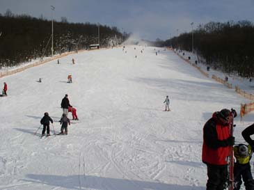 Skigebiet Hohe Wand Wiese