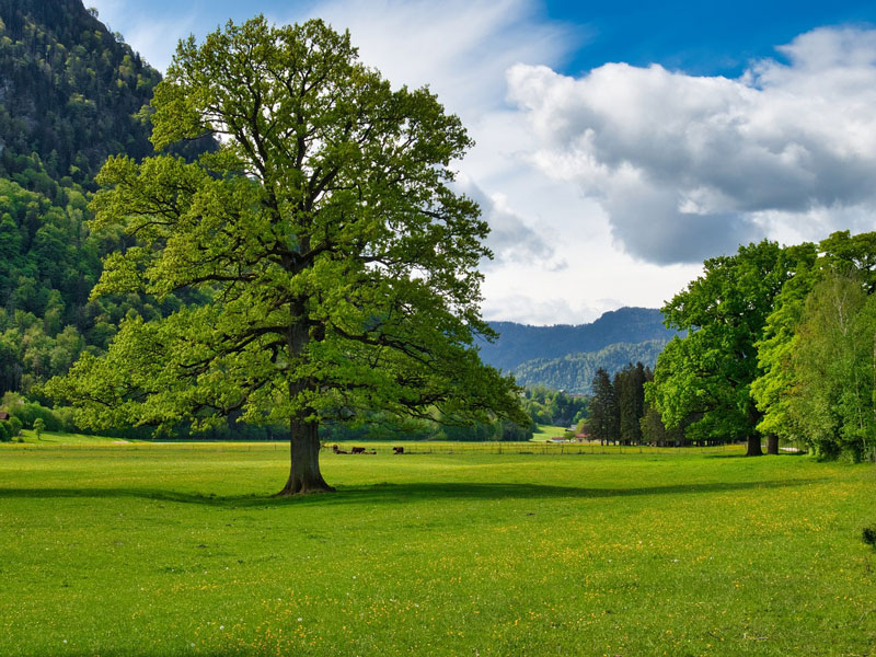 Een prachtig landschap