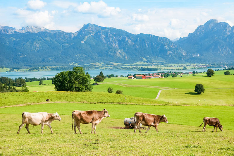 Het oosten van de Allgäu.