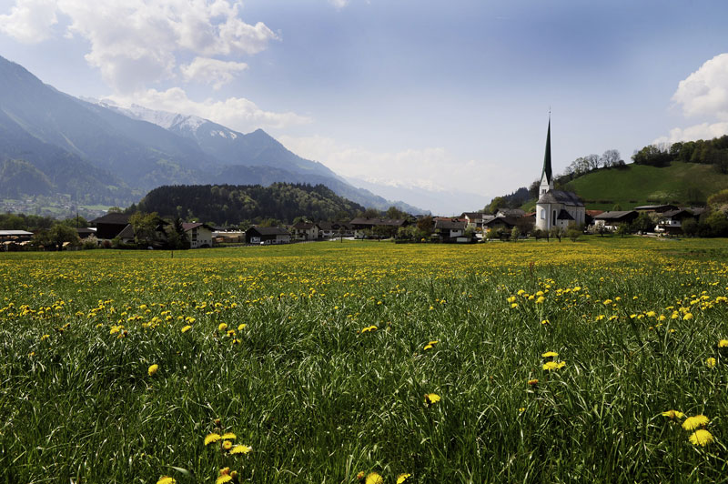 Wiesing