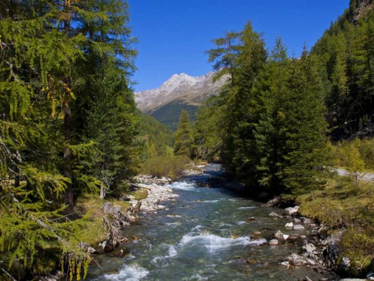 Naturimpressionen Defereggental TVB Osttirol_TVB Osttirol_Sankt Jakob im Defereggental