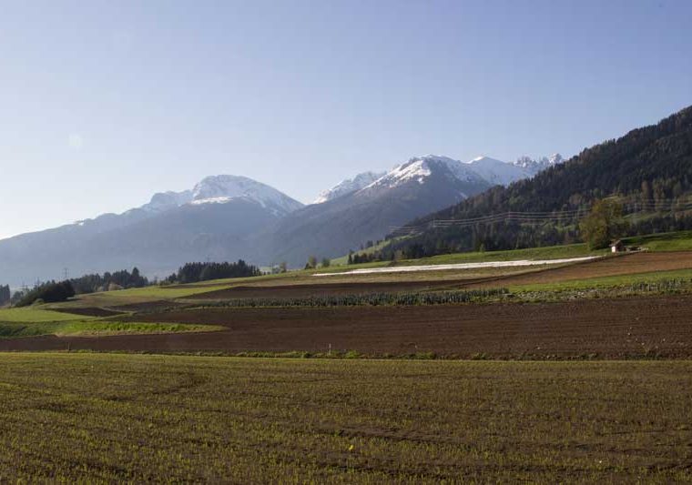 Ranggen Feld_Tirol Werbung_Hofmann Janine_Ranggen