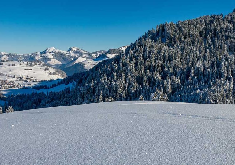 Skigebieden Zwitserland