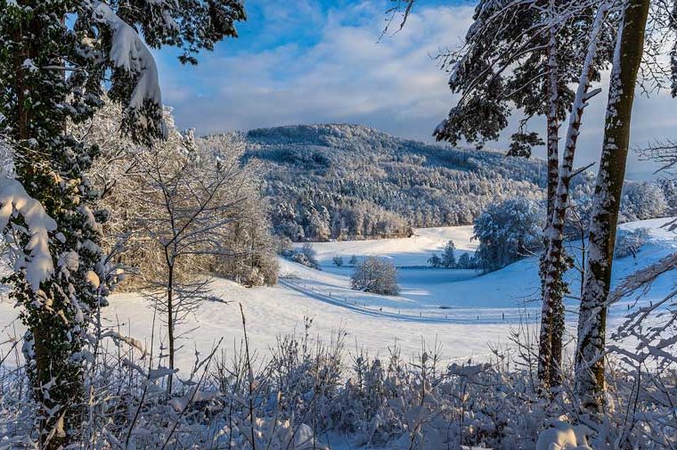 Wintersport Zürich