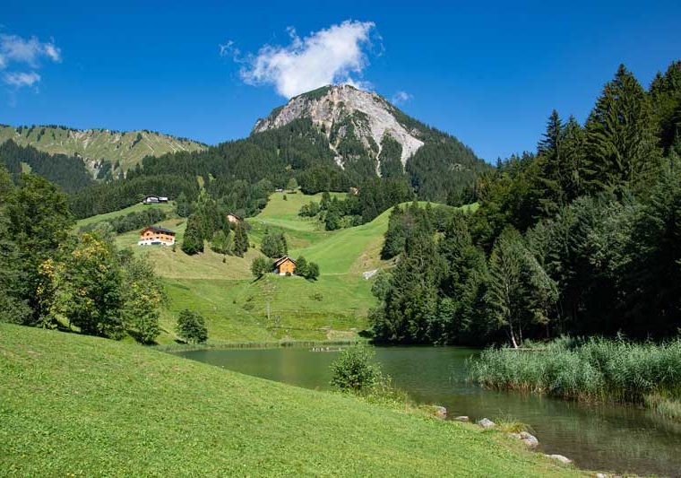 Fontanella - Faschina