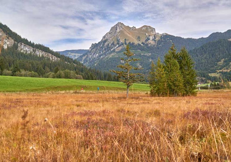 Grän TVB Tannheimer Tal_Meurer Anna_Grän-Haldensee