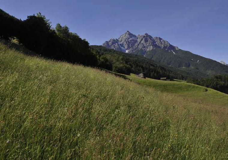 Mieders im Stubaital Blick auf die Serles_Tirol Werbung_Aichner Bernhard_Mieders im Stubaital