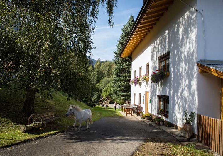 Ried im Oberinntal Kräuterbauernhof Sagenschneider's_Tirol Werbung_Hörterer Lisa_Ried im Oberinntal