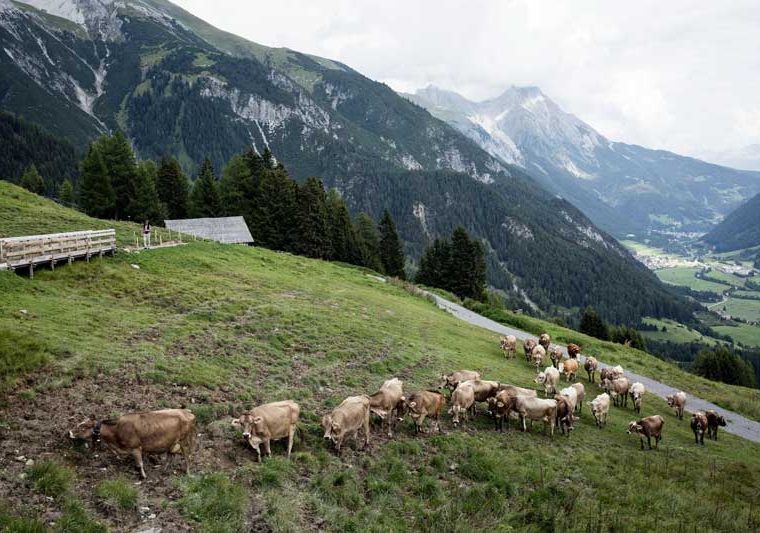 St. Anton, Pettneu Alter Nessler Thaja_Tirol Werbung_Hörterer Lisa_Pettneu-Schnann